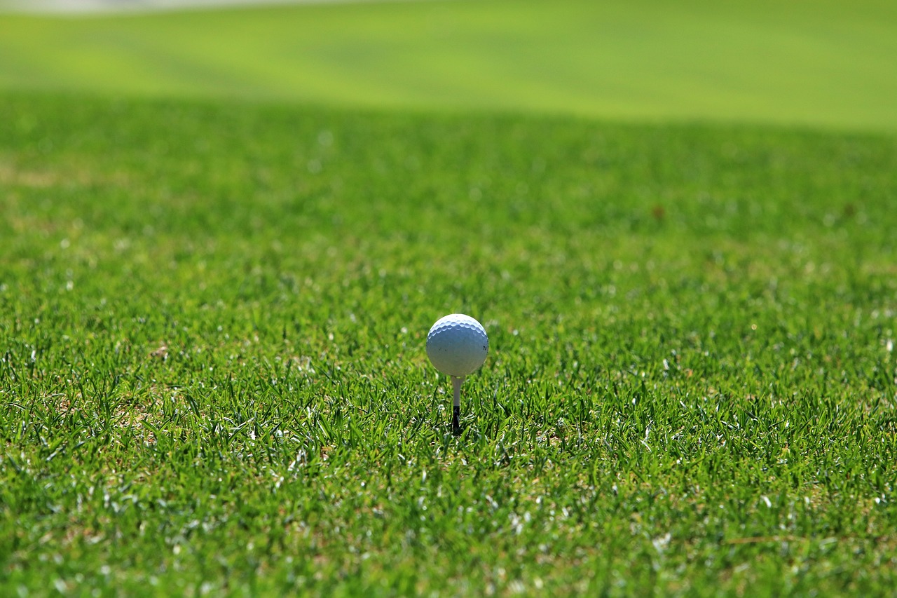 golf, golf course, grass-3685620.jpg